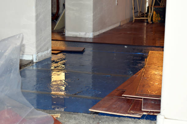 Professional Burst Pipe Cleanup technician working in Salkum, WA